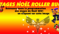 Stage roller Noël 2021